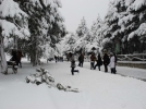 Bolu, turistlerin ve futbol tak�mlar�n�n g�zdesi oldu  