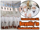 G�l, Beypili�’te incelemelerde bulundu 