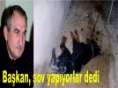 �ov yap�yorlar  