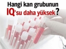 Kimin IQ su daha y�ksek?