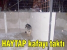 HAYTAP kafay� takt�