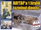 HAYTAP’a 1 liral�k tazminat davas�
