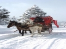 Arap turistler k��� da sevdi  