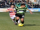 5 sar� 1 cezal�  