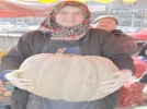 Dev kabak �a��rtt�  