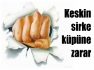 Keskin sirke k�p�ne zarar