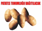 Patates Tohumlu�u Da��t�lacak