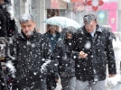 Bolu bembeyaz  