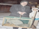 S�rpriz misafir
