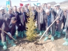 Yumrukaya ye�illeniyor