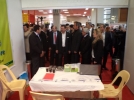 K�br�sc�k fuara gitti