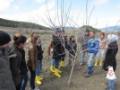 �niversitelilere uygulamal� budama dersi