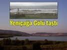 G�l ta�t�