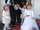 Pamuk �ekerleri
