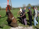 Sar�k�z� itfaiye kurtard�
