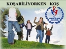 �Ko�abiliyorken ko��