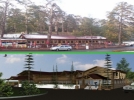 Gerede�de t�m g�zler bu ihalelerde  