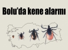 Bolu�da kene alarm�