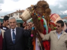 Otomobil paras�na deve!  