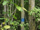 Gen� me�eler i�aretleniyor