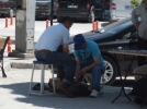 Lostradakiler haks�z rekabetten muzdarip