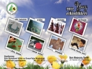 Yaz Etkinlikleri ba�l�yor 