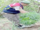 Jandarmadan b�y�k operasyon
