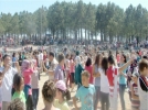 5 bin K�brs�c�kl� Pendik�te bulu�tu