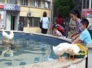 �rdekler ilgi oda�� oldu