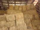 �ift�iler dikkat! Bu haber size