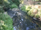 Nerede o eski g�nler
