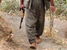 �ld�r�len PKK'l�lar�n say�s� 170'e y�kseldi