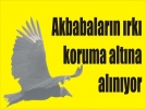 Proje Vali�ye tan�t�ld�
