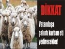 H�rs�zlardan Kurban Bayram� mesaisi