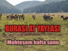 At Yaylas��nda muhte�em hafta sonu