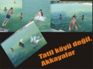 Minikler Akkayalar�da serinledi