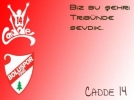 Cadde 14'ten sert tepki