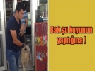 D�kkanlara giren koyun esnafa zor anlar ya�att�