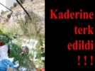 Stadion kaderine mi terk edildi?