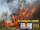Sigara izmariti kamp merkezini k�l edecekti 