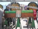Fevzi amca son yolculu�una u�urland�