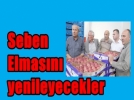 Seben elmas� yenileniyor