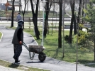 Sonbahar temizli�ini kad�nlar yap�yor