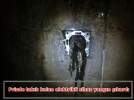 Yang�n panik ya�att�