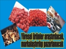 Y�resel �r�nler ara�t�r�lacak,  markala�t�r�l�p pazara sunulacak 