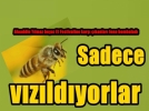 Ba�kan kime �sadece v�z�ld�yorlar� dedi
