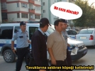 K�pek �ld�ren adam�n cezas� ne olacak