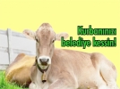Gerede�de bayram haz�rl�klar� tamamland�