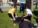 Trafik kazas�