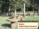 G�lc�k'� g�sterip, Abant'� isteyecek
